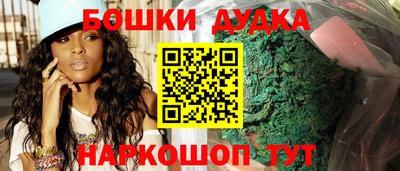крисы Будённовск