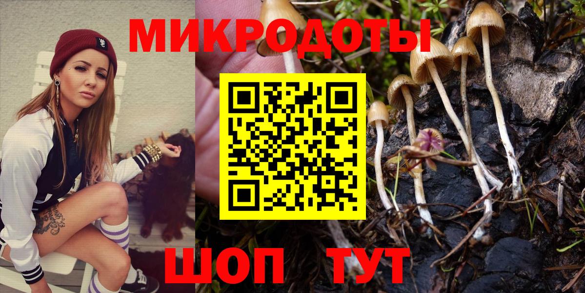 Псилоцибиновые грибы Cubensis  Вход с VPN  Североморск 